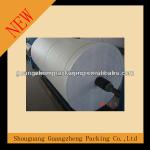 PP woven fabric/PP fabric/pp woven fabric rolls