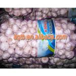 mesh vegetable bags for onion packing