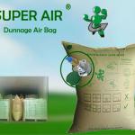 Dunnage bag for damage prevention