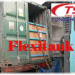 flexibag for container liquid package