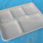 disposable lunch tray