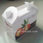 Corrugated Plastic Boxes, Corrugated Polypropylene Box