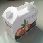 Eco Corflute Plastic Box For Packaging And Advertising