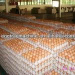 Mechanical Industrial Egg Tray Packaging Egg Tray Mould