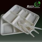 Biodegradable Food container Trays