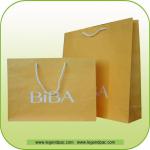 2010 Printing White Kraft Paper Bag(BIBA) lplp1008