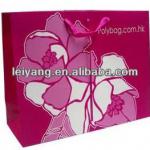 2013 Recycle Shopping Paper bag/Gift Paper Bag LY002