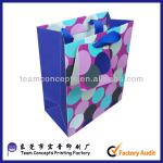 2014 Custom Printed Luxury Paper Shopping Bag PB-F0005
