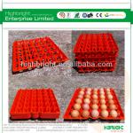 30 holes hatching eggs plastic egg tray HBE-WHS-J