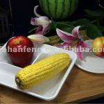 Biodegradable Compostable Disposable Tableware NBGH-T-9.25A