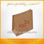brown kraft food paper bag(BLG-PB179) BLF-PB179