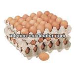 carton pulp egg tray,30eggs tray,15eggs tray,hot sale RPPB30