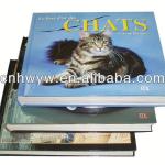 catalog/brochure/printing service/customed books with perfect binding HW-D1023B