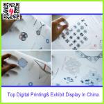 Customer Eco Solvent Backlit Film Printing In Shenzhen SC-P015-SS-Z