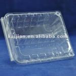 Disposable PET Plastic Fruit Container
