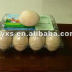 Egg PET Tray HY-030702