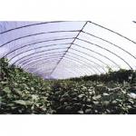 Greenhouse Film (Agricultural Film) XG-002