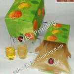 high quality best price fruit juice bag in box BIB-2321