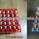 high quality colored plastic protect egg-cartons egg bin egg punnet plastic incubator transportation egg tureing tray SJD-DT30