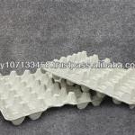 Hot Seller 30 Cavities Paper Egg Tray UNI OR AA