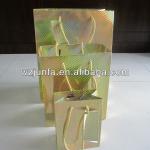 laser gift paper bag for shopping WZJFGY--078
