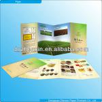 Leaflet Printing Art Paper Flyer Printing OEM