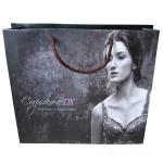 Luxury Lamination Custom Paper Handle Bag for bra NPB56