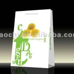 New Design Promotional Paper Bags 3462