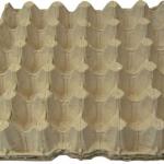 PAPER EGG TRAY 555