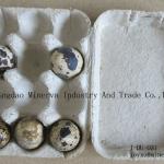 Paper pulp quail egg tray box J-DU-031