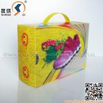 Plasitc 3D Shoe Packing Box SQ-SB-001S shoe packing box