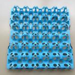 Plastic Injection 30 egg-tray no