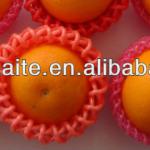 Plastic Net Protection Fruit 21cm