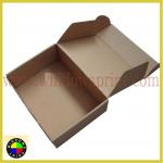 shipping mailing box WDS-BOX0647