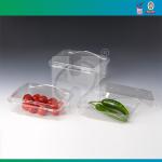 Transparent Disposable Plastic Fruit Clamshell Punnet A0081AA-A0081AC